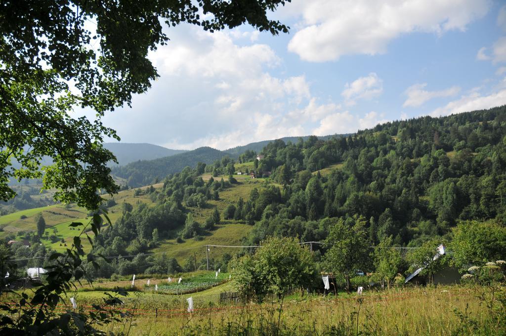Drevenicka 110 Villa Zázrivá Buitenkant foto