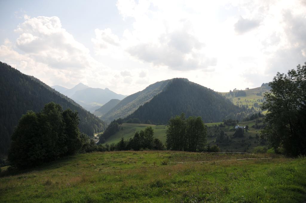 Drevenicka 110 Villa Zázrivá Buitenkant foto